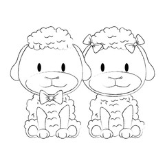 cute and adorable couple sheep characters