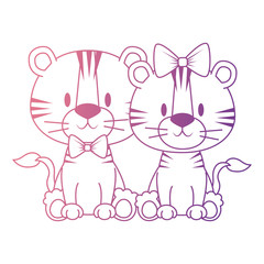 cute and adorable couple tigers characters