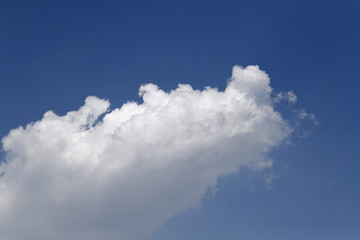 Fototapeta na wymiar 青空と雲「空想・雲のモンスターたち（巨大なドラゴンの顔などのイメージ）」猛進、突き進む、目指すなどのイメージ