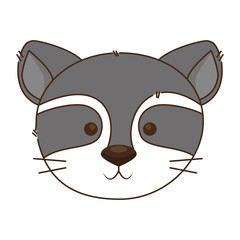 cute and adorable raccoon character