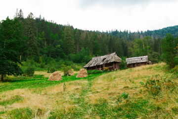 Fototapeta na wymiar Wild forest cabin, lonesome travel landscape.