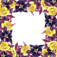 Beautiful floral background from aquilegia 