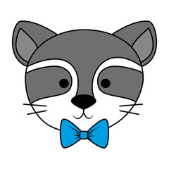 cute and adorable raccoon character