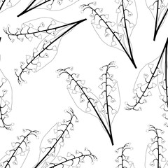 White Lily of the Valley Outline on White Background