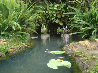 fonte Carangola MG Brasil, praça.