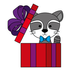 cute and adorable raccoon with gift