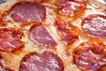 appetizing italian salami pizza with ingredients