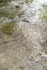 Mountain's river. Close up.