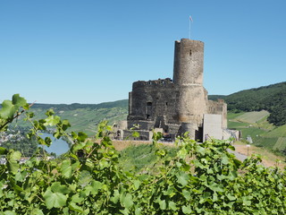 Burgruine Landshut über Bernkastel-Kues mit Blick auf die Mosel 

