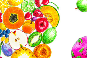 various fruit on white background hand drawn illustration