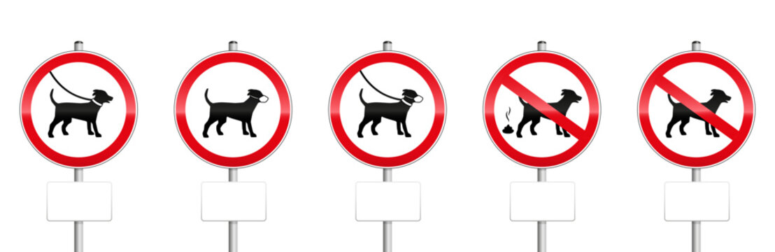 Dogs mandatory signs with blank panels - no dogs allowed, dogs on leash, wearing muzzles, dog dirt. Isolated on white background.