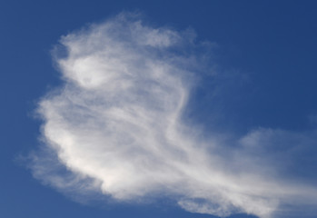 Obraz premium 青空と雲「空想・雲のモンスター（突き進む顔のイメージ）」颯爽、急ぐ、顔、猛進、突き進むなどのイメージ