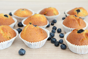 Blueberry Muffin and blueberries on wood