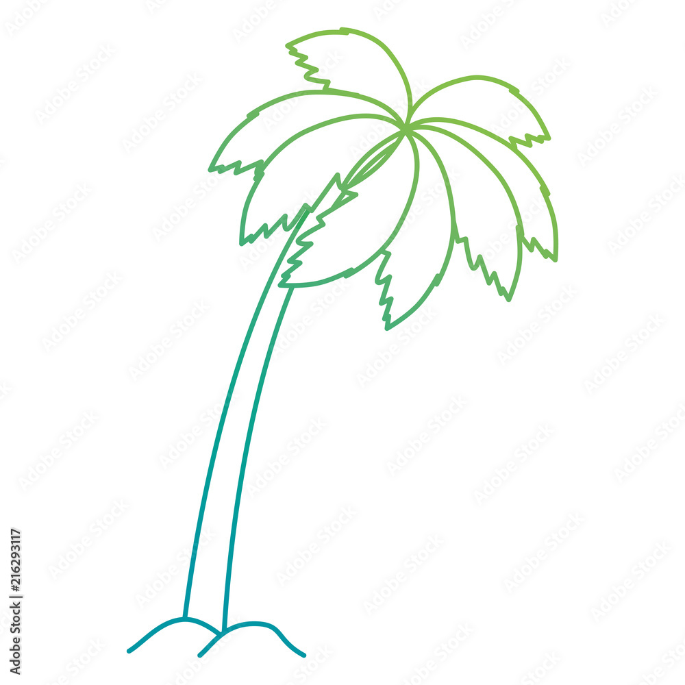 Canvas Prints tree palms isolated icon vector illustration design