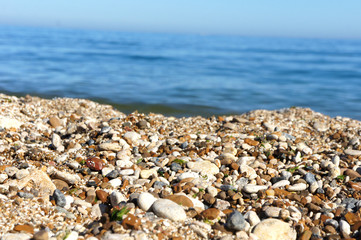 Sea stones and sea the coastline of seashells on a background of sea and blue