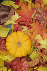 Autumn pumpkin decoration 