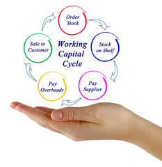 Working Capital Cycle.