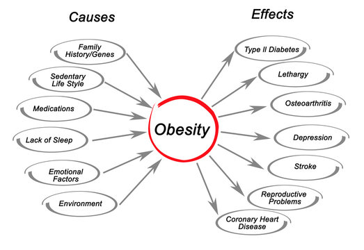 Obesity Causes And Effects Stock Illustration Adobe Stock