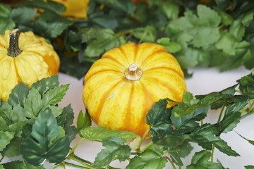 Obraz premium Autumn pumpkin decoration 