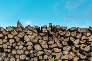 pile of wood