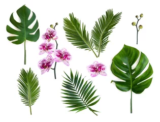 Printed roller blinds Palm tree Tropical leaves palm tree, monstera and palm tree cycas revoluta ( sago palm ) with pink flowers moth orchids on a white background. Top view, flat lay.