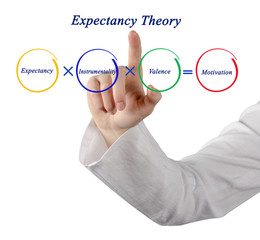 Components of Expectancy Theory.