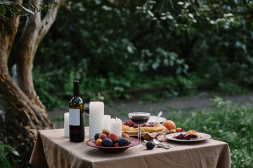 served table for romantic dinner in garden