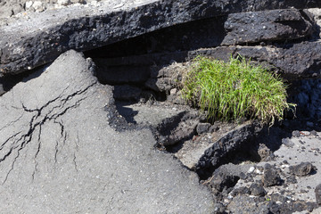 Broken asphalt and a grass pellet