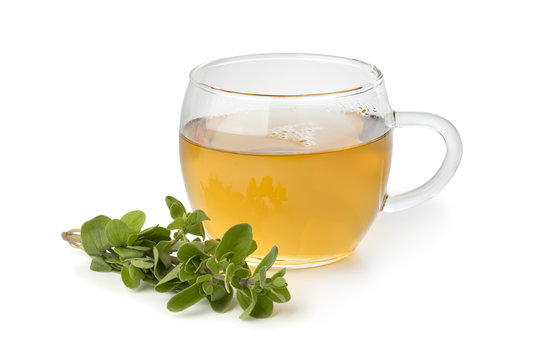  Glass Cup Of Marjoram Tea