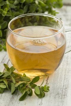  Glass Cup Of Marjoram Tea