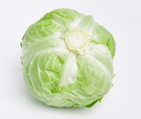 cabbage