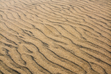 Great Sand Dunes National Park