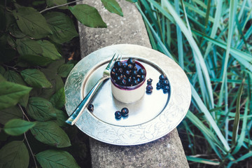 Cottage cheese blueberry cake 