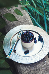 Cottage cheese blueberry cake 