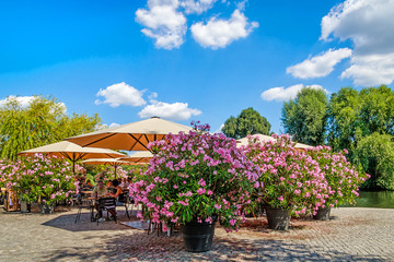 On the banks of river Havel close to Alter Markt in Potsdam, Germany - Romantic café terrace surrounding by large potted oleander bushes in pink and purple bloom.   - obrazy, fototapety, plakaty
