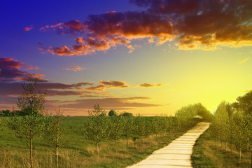 Fototapeta na wymiar Beautiful yellow sand lane in countryside, green meadow on sunset blue and yellow sky with clouds