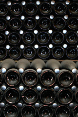 Champagne bottles, lying in the cold dusty dark wine cellar close up front view