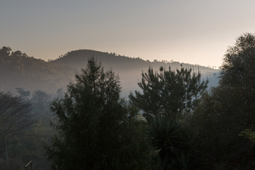 Morgendlicher Nebel in den Usambarabergen - Afrika