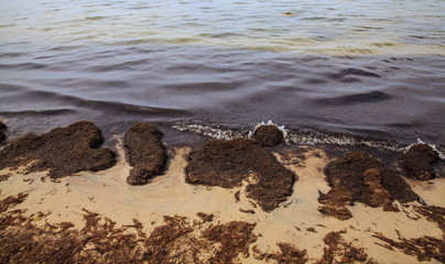 Baltic seaside near Karkle,Lithuania