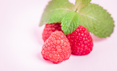 Raw ripe raspberries with fresh green mint leaf isolated on pink pastel background.
