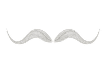 Gray mustache isolated on white background