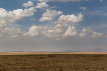 Fototapeta na wymiar Wolken über der Savanne