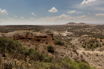 Fototapeta na wymiar Die Gegend des Fundortes der ersten Menschen - Tansania