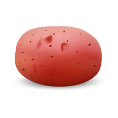 Red potato mockup. Realistic illustration of red potato vector mockup for web design isolated on white background