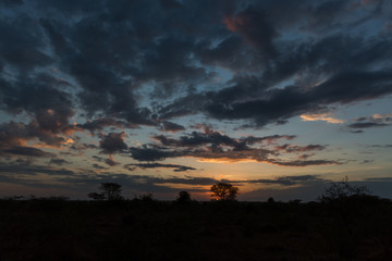 Sonnenuntergang über der Savanne