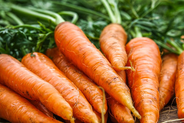 Close-up of bundle of carrots on a rustic wooden table. Concept for fresh vegetarian, organic raw food and harvest.