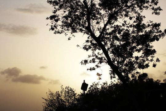 atardecer