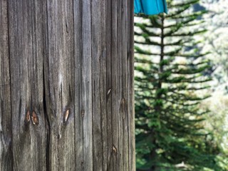 Madera en la Montaña