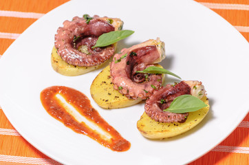 Platillo gourmet de pulpo con especias en una cama de patatas y salsa picante, en un plato blanco con mantel, platillo mexicano del mar