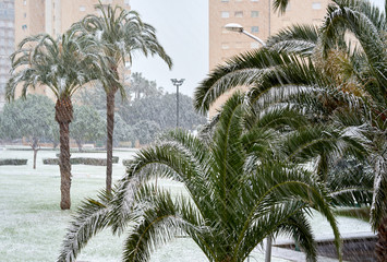 Snowfall in the south of Spain. Costa Blanca, Alicante. Spain